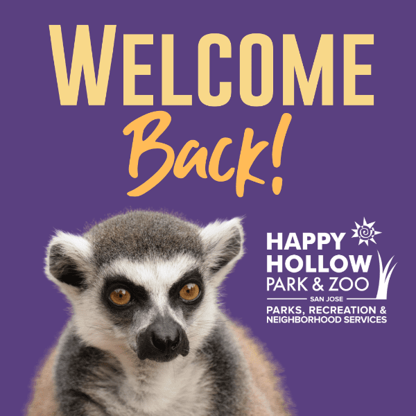 Visit the Zoo Lemur Wild Animals Park United States Advertisement Poster