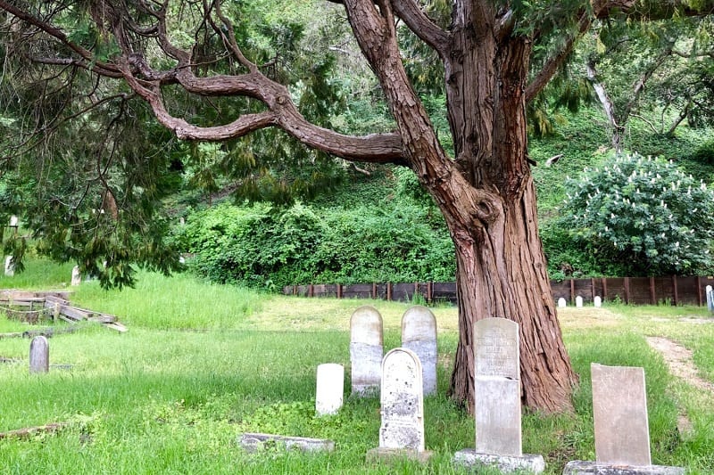 mah-evergreen-beyond-the-grave
