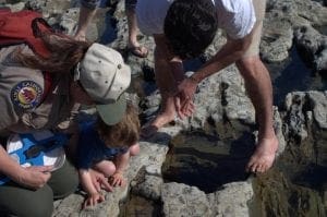 park-natural-bridges-tide-pool