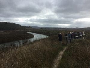 park-pescadero-marsh