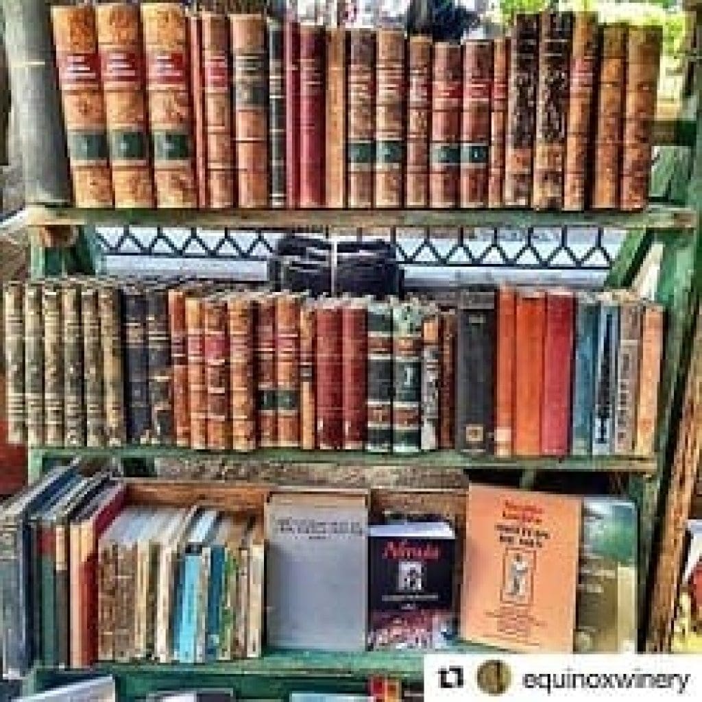 library_booksale_books