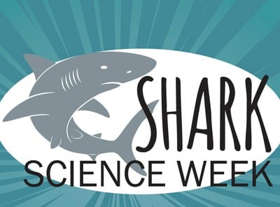 shark-week-seymour-2021
