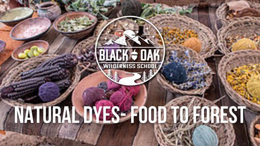 black-oak-wilderness-natural-dyes