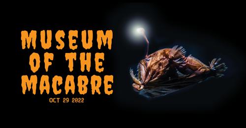 scmus-museum-of-macabre
