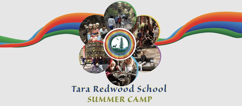 tara-redwood-camp-logo-840