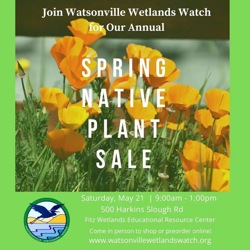 watsonville-wetlands-spring-plant-sale