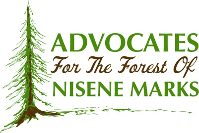 nisene-marks-advocates