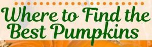 pumpkins-where-to-find
