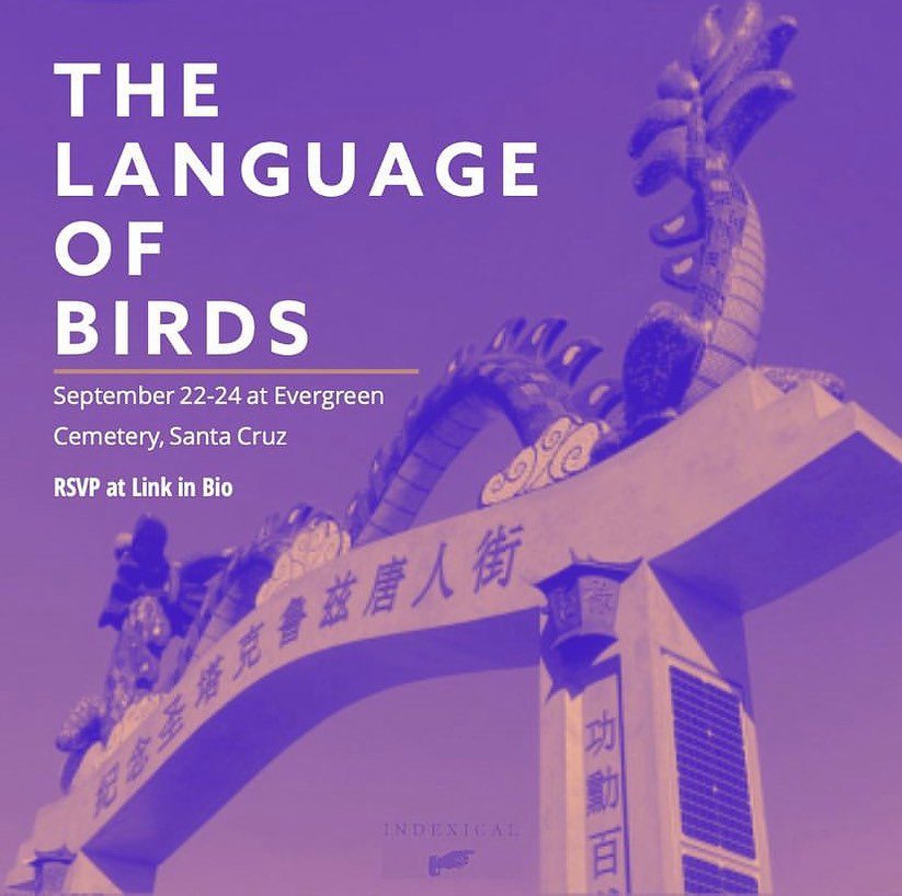 mah-language-of-birds