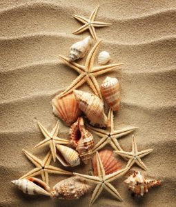 christmas-beach-tree
