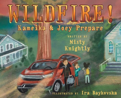 book-wildfire