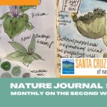 scmus-nature-journaling-studio