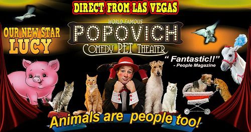 rio-popovitch-pet-theater