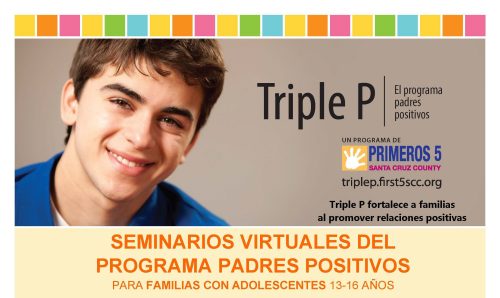 triple-p-teens-2-16-seminar