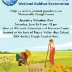 watsonville-wetlands-4th-saturdays-volunteer