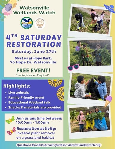 watsonville-wetlands-saturday-restoration-june-27
