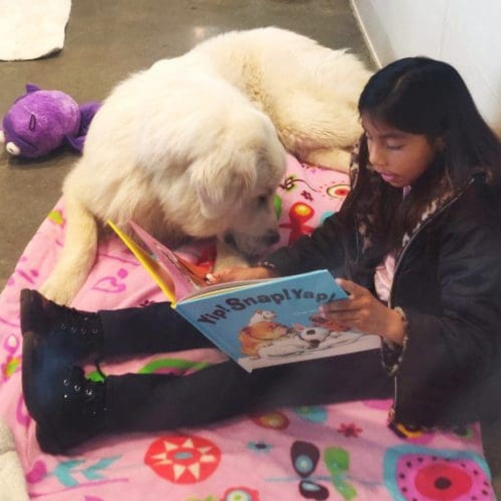 spca-rescue-readers