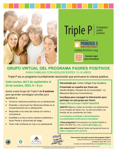 triple-p-workshop-virtual-teen-group-flyer-ceiba