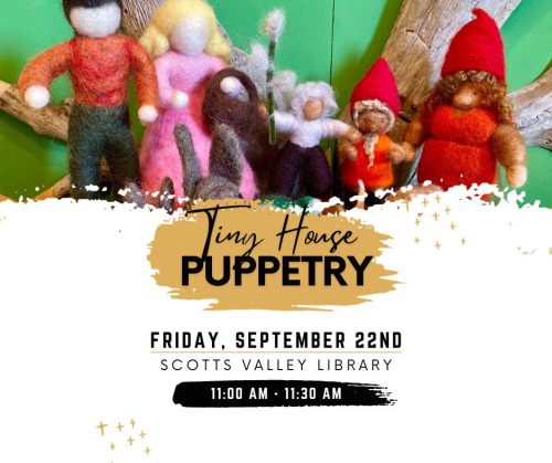 library-scotts-valley-tiny-house-puppetry