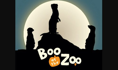 halloween23-boo-at-the-zoo-san-francisco