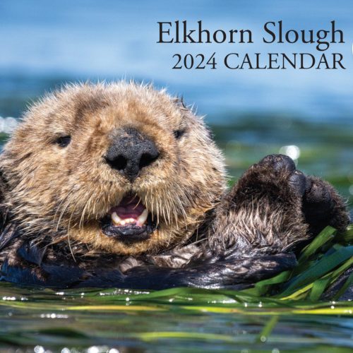 Elkorn Slough 2024 Calendar Santa Cruz Parent