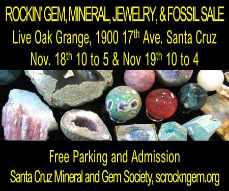santa-cruz-mineral-gem-jewelry-fossil-sale