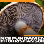 scmus-fungi-fundamentals