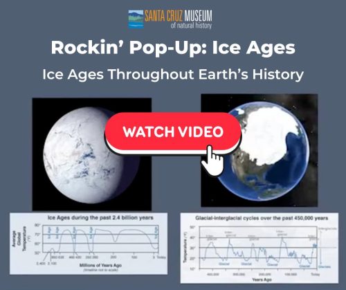 scmus-rockin-pop-up-ice-ages