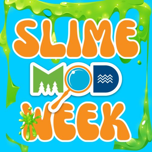 mod-slime-week-promos