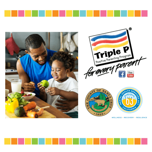 triple-p-workshop-enjoying-mealtimes