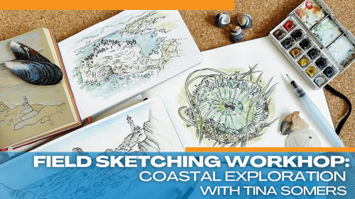 scmnh-field-sketching-workshop-coastal-tina-somers