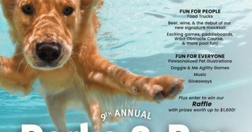 parks-and-rex-dogs-pool-party