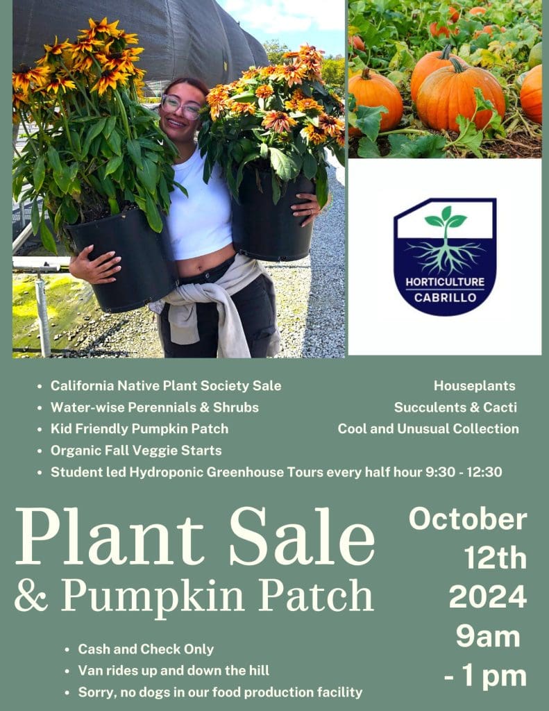 cabrillo-horticulture-native-plants-pumpkin-patch