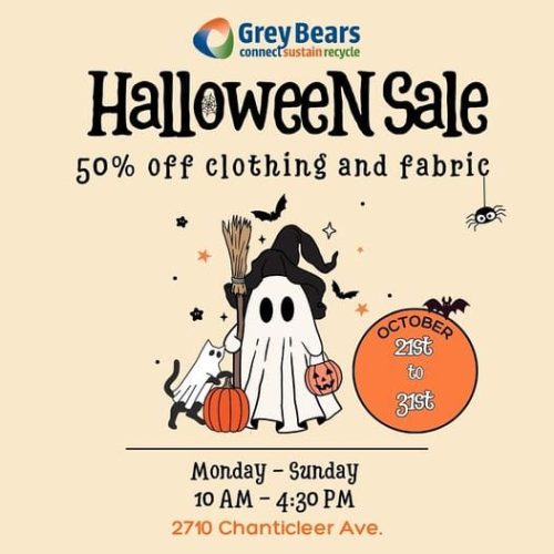 grey-bears-halloween-sale