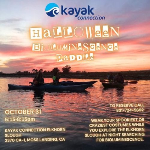 halloween-2024-kayak-connection-bioluminescence-paddle-elkhorn-slough-oct-31