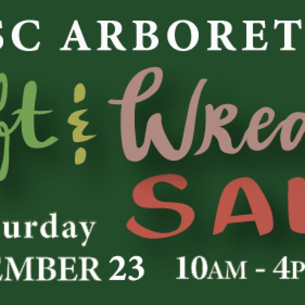 arboretum-christmas-sale-2024