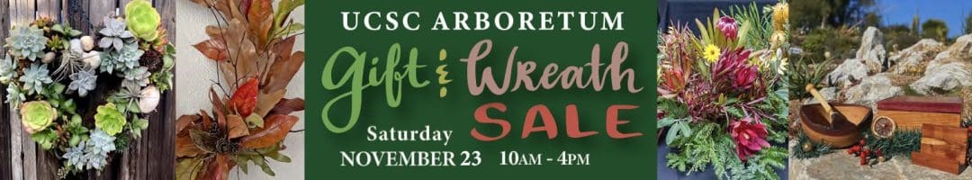 arboretum-christmas-sale-2024