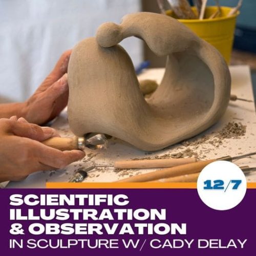 scmnh-sculpting