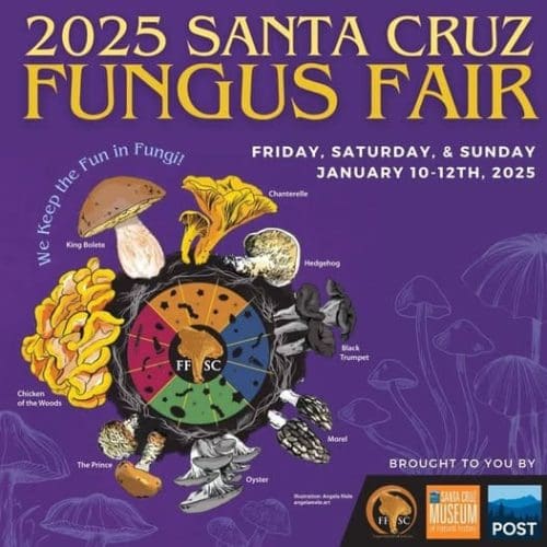 scmnh-fungus-fair-2025-volunteer