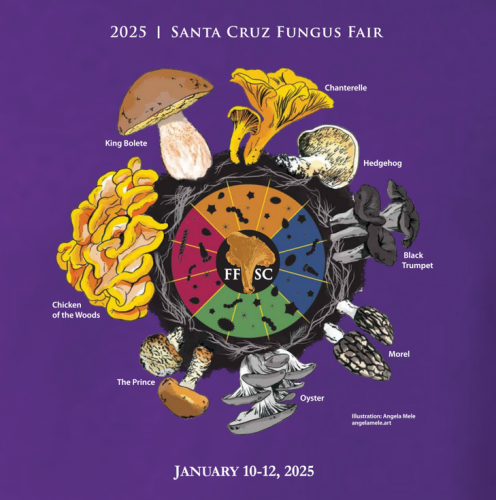 fungus-fair-2025-2