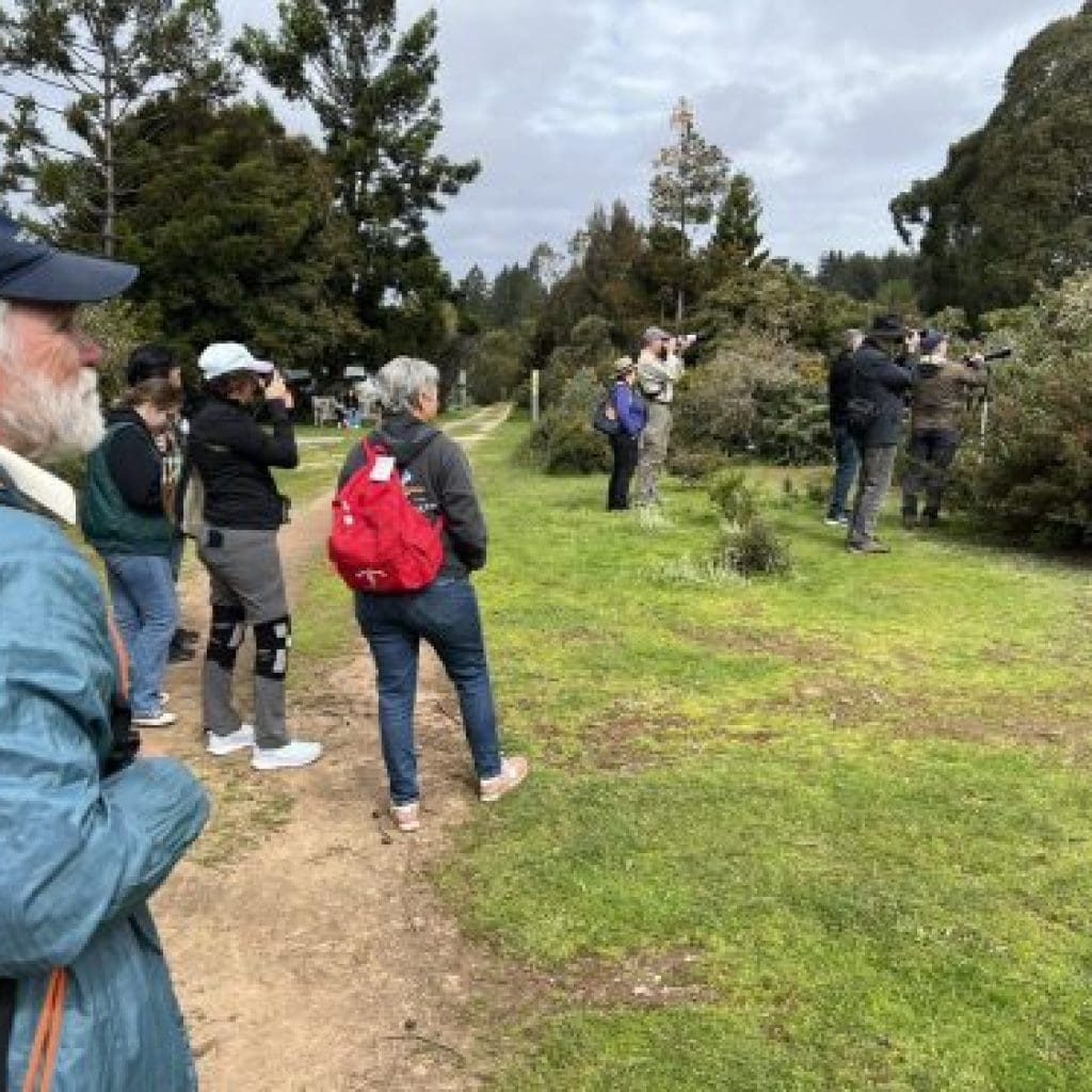 ucsc-arboretum-free-day