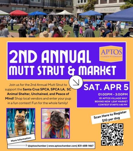 aptos-chamber-mutt-and-strut-april-2025