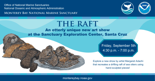 sanctuary-the-raft-art-otters