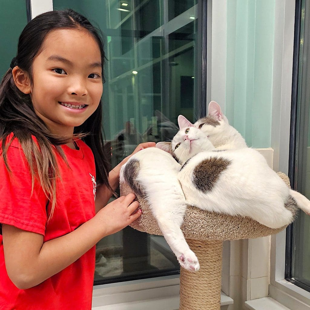 santa-cruz-spca-juniors