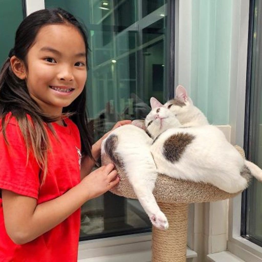 santa-cruz-spca-juniors