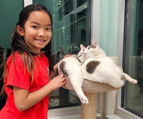 santa-cruz-spca-juniors