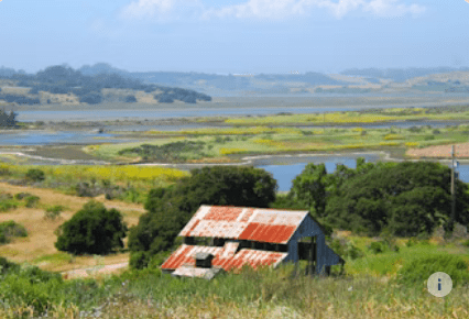 elkhorn-slough-tours