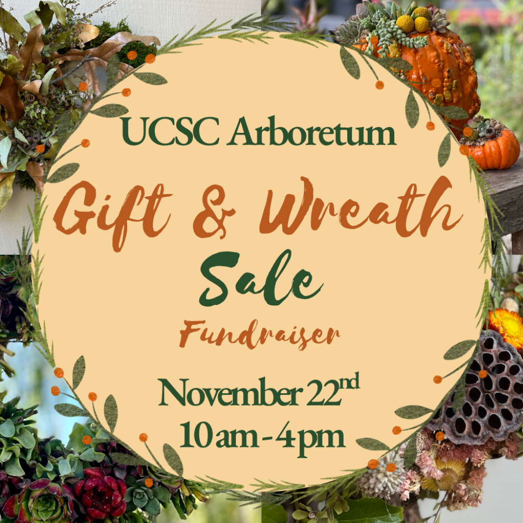 ucsc-arboretum-gift-wreath-sale