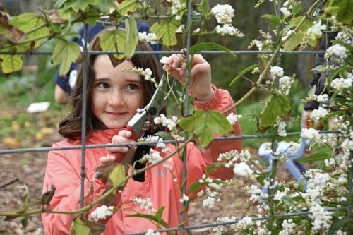 gateway-school-lifelab-visit