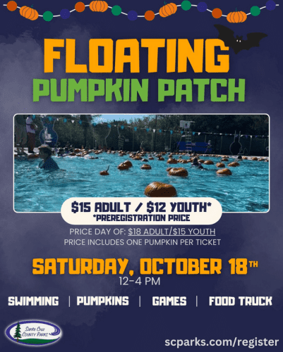 parks-flloating-pumpkin-patch